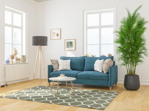 5 Tips Simpel Membuat Rumah Minimalis Tampak Luas dan Terang