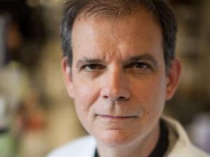 Bisakah Darah Pasien Sembuh Obati Pasien Corona yang Masih Sakit?