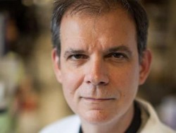 Bisakah Darah Pasien Sembuh Obati Pasien Corona yang Masih Sakit?