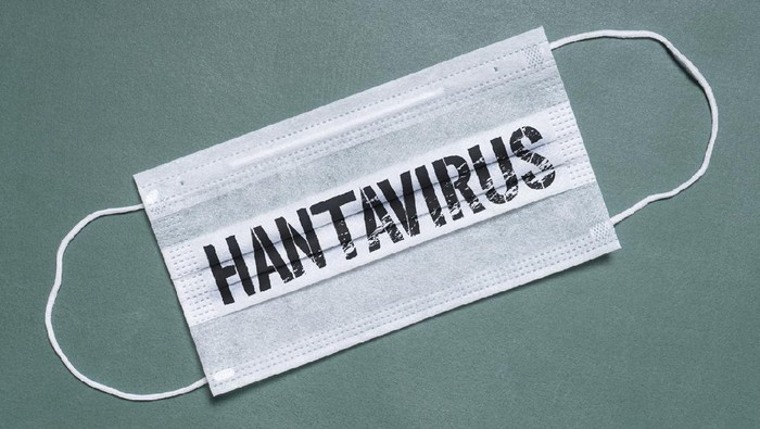 Coronavirus written on a surgical face mask