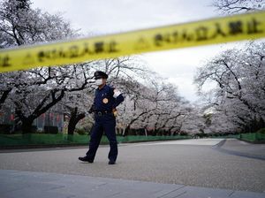 Taman Bunga Sakura di Tokyo Ditutup untuk Cegah Corona