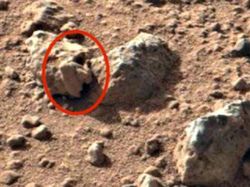 Pencari Alien Klaim Temukan Bukti Kehidupan Masa Lalu di Mars