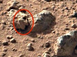 Pencari Alien Klaim Temukan Bukti Kehidupan Masa Lalu di Mars