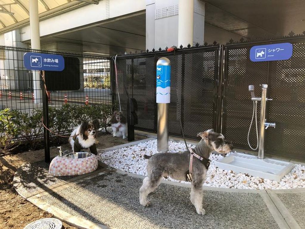 Foto: Bandara Osaka Punya Toilet Anjing Pertama di Dunia