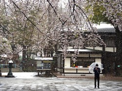 Jepang Tingkatkan Status Darurat Kesehatan Lebih Ketat