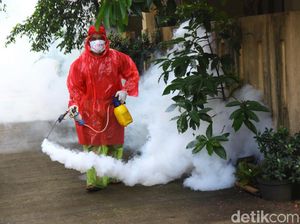 410 Kabupaten dan Kota di RI Alami Infeksi Ganda, Corona dan DBD