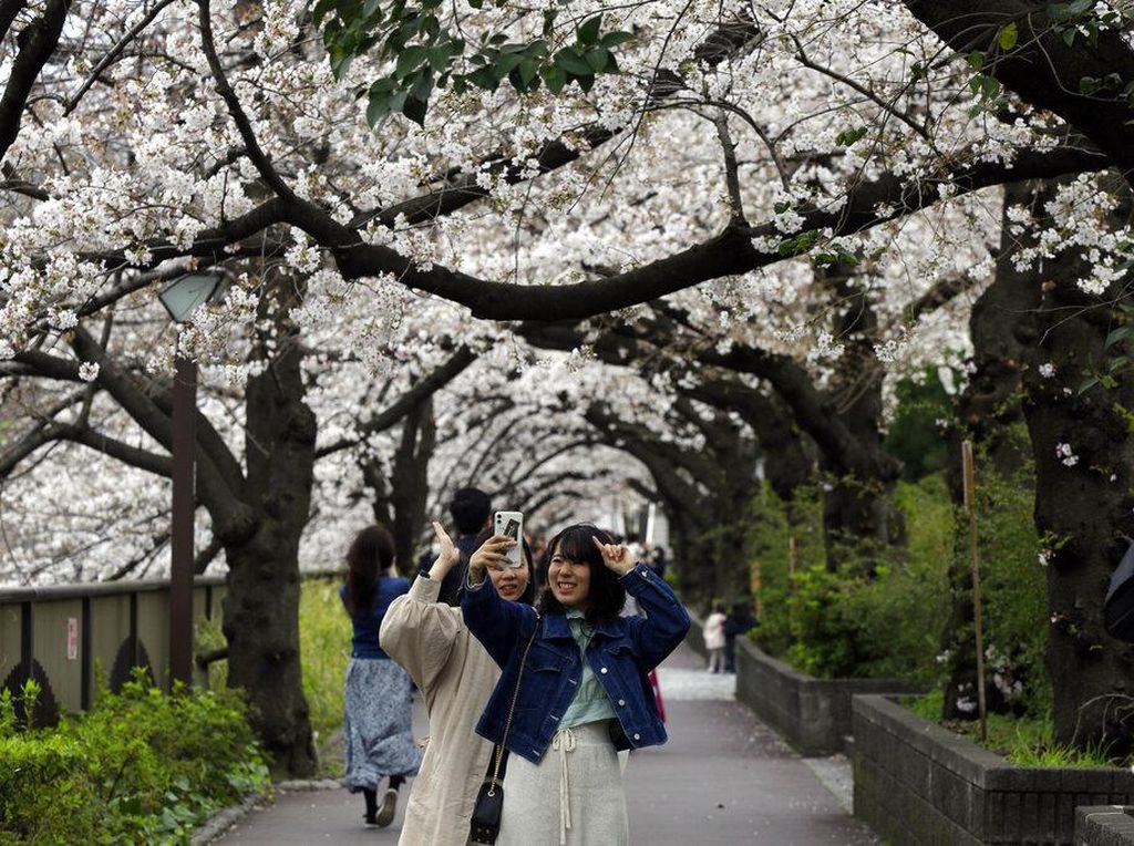 Mau Menetap di Jepang? Ini Cara Dapatkan Visa Tinggal Permanen Mau Menetap di Jepang? Ini Cara Dapatkan Visa Tinggal Permanen
