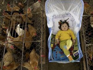 Pasar Hewan Liar di China Potensi Hotspot Wabah Zoonosis