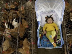 Pasar Hewan Liar di China Potensi Hotspot Wabah Zoonosis