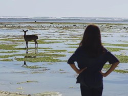 Kangen Traveling? Film Traveling Indonesia Ini Bisa Jadi Obatnya