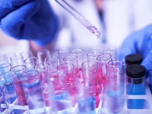 KBRI Riyadh: 1.453 Orang Positif Corona di Saudi, Ada 6 Orang WNI