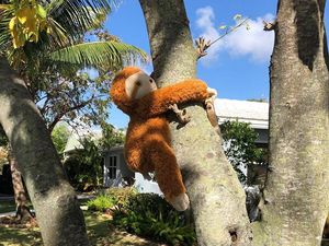 Lihat Kreatifnya Warga Sulap Perumahaan Jadi Wisata Kebun Binatang Lihat Kreatifnya Warga Sulap Perumahaan Jadi Wisata Kebun Binatang