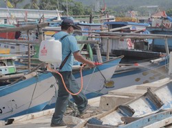 Ini Cara KKP Pastikan Aktivitas Pelabuhan Tetap Berjalan Saat Corona