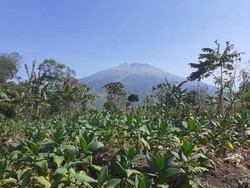 Trabas Gunung Sumbing Masih Dilarang, Ini Surat Aturannya
