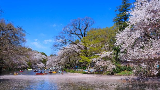 8 Kawasan Hijau Favorit Warga Tokyo