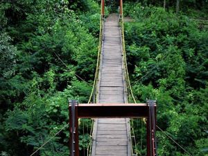 Oase di Tengah Kota Bandung, Tahura Djuanda Oase di Tengah Kota Bandung, Tahura Djuanda