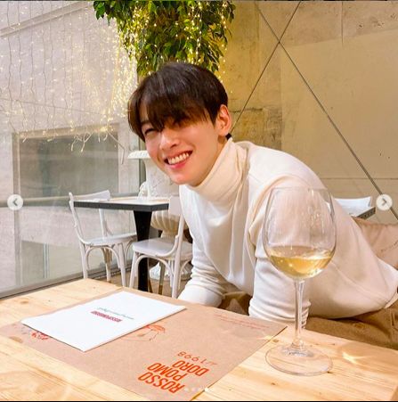 Cha Eun Woo