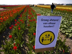 Belanda Tak Sarankan Warga Pakai Masker untuk Cegah Corona, Kenapa?