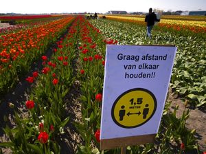 Belanda Tak Sarankan Warga Pakai Masker untuk Cegah Corona, Kenapa? Belanda Tak Sarankan Warga Pakai Masker untuk Cegah Corona, Kenapa?