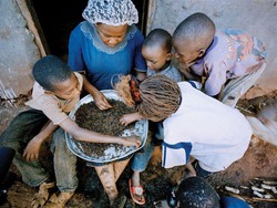 5 Negara Ini Punya Olahan Serangga dan Ulat yang Enak