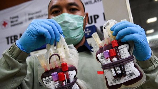 Stok Darah PMI Berkurang Akibat COVID-19