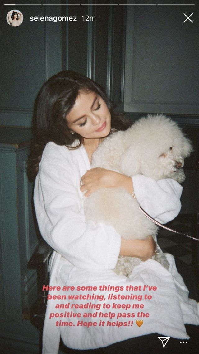 Rekomendasi Hiburan Selama di Rumah dari Selena Gomez