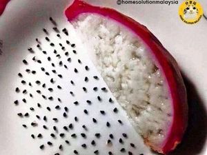 Aksi Netizen Gabut, Pisahkan Biji Buah Naga hingga Bubuk Kopi Susu