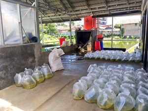 KKP Minta Akses Pengiriman Logistik Perikanan Tak Dibatasi KKP Minta Akses Pengiriman Logistik Perikanan Tak Dibatasi