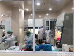 Data Corona Terkait Indonesia, 5 April 2020 Pukul 16.30 WIB