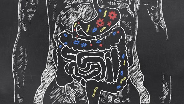 Intestines with Gut Bacteria on Blackboard