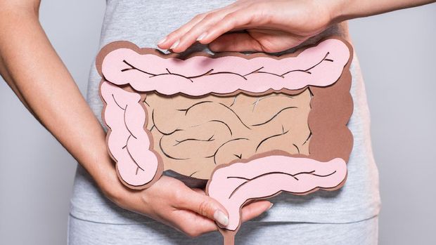 partial view of woman holding paper made large intestine on grey background