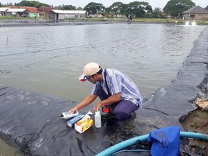 KKP Layani Pembudidaya Ikan Via Online