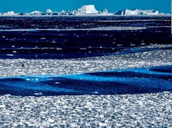 Suhu di Antartika Kian Panas