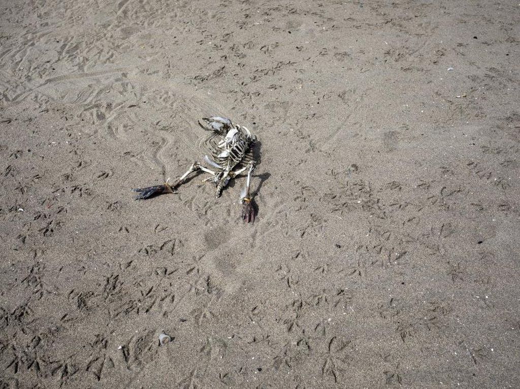 Potret Sebelum dan Sesudah Pantai Peru Diterjang Corona Potret Sebelum dan Sesudah Pantai Peru Diterjang Corona