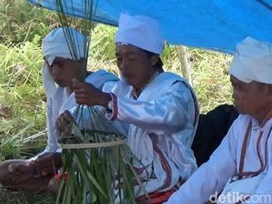 Tangkal Corona, Warga Mamasa Gelar Ritual Marompo Bamba