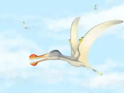 3 Spesies Baru Dinosaurus Terbang Ditemukan di Maroko