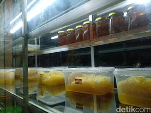 Dianggap Berkhasiat Cegah Corona, Penjualan Madu di Lembang Melonjak Dianggap Berkhasiat Cegah Corona, Penjualan Madu di Lembang Melonjak