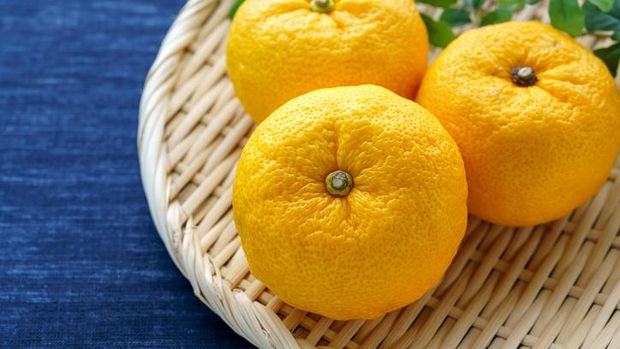 Japanese citron 'Yuzu' fruits isolated on light background