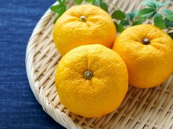 Bukan Cuma Matcha, 4 Superfood Jepang Ini Bermanfaat untuk Imunitas