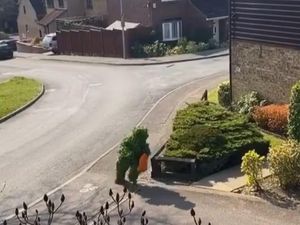 London Lockdown, Orang Ini Menyamar Jadi Tanaman Demi Bisa Keluar Rumah