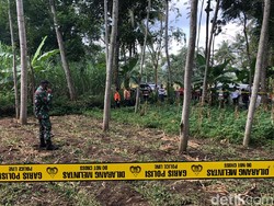Mayat Seorang Perempuan Ditemukan di Ladang Sengon Malang