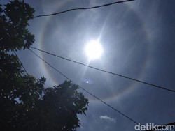 Maju Mundur Keyakinan Corona Bisa Dikalahkan Sinar Sang Surya