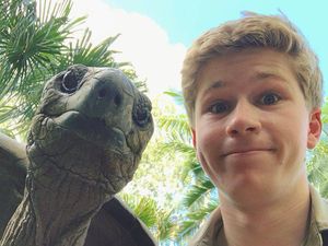 Isolasi Diri ala Anak Steve Irwin, Tinggal di Kebun Binatang Isolasi Diri ala Anak Steve Irwin, Tinggal di Kebun Binatang