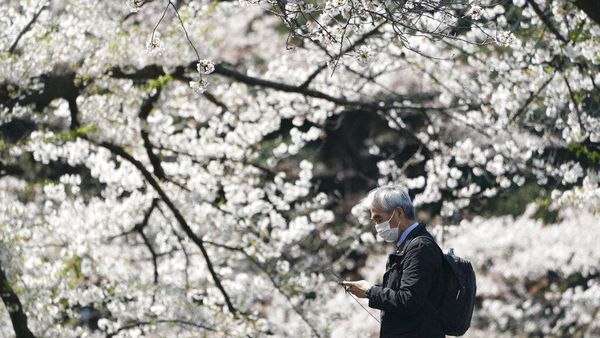 Jepang Tutup Pintu Rapat-rapat untuk Traveler