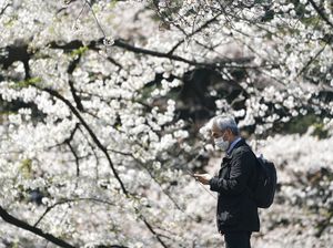 Saran Travel Influencer Terkait Wisata di New Normal