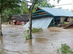 Diguyur Hujan Deras, 8 Desa di Kabupaten Luwu Terendam Banjir