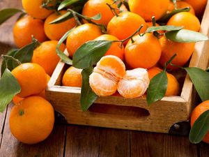 5 Manfaat Jeruk Mandarin yang Segar dan Kaya Khasiat