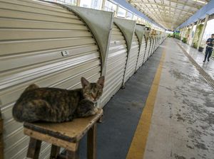 Pemda DKI Perpanjang Penutupan Kegiatan Usaha di Jakarta