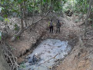 Tengkorak Gajah Betina Ditemukan di Kubangan di Aceh Timur