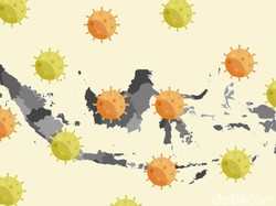 Tambah 1.679, Ini Sebaran 113.134 Kasus Corona di RI Per 3 Agustus